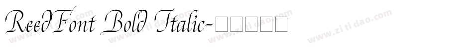 ReedFont Bold Italic字体转换